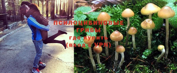 прущая мука Заводоуковск