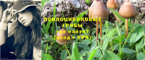 прущая мука Заводоуковск
