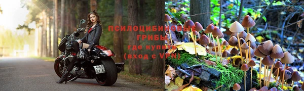 твердый Ельня