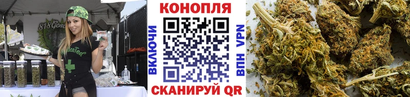 Купить где  Киржач  Бошки Шишки планчик 